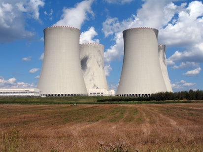 Flexible Hones for Nuclear Pipes